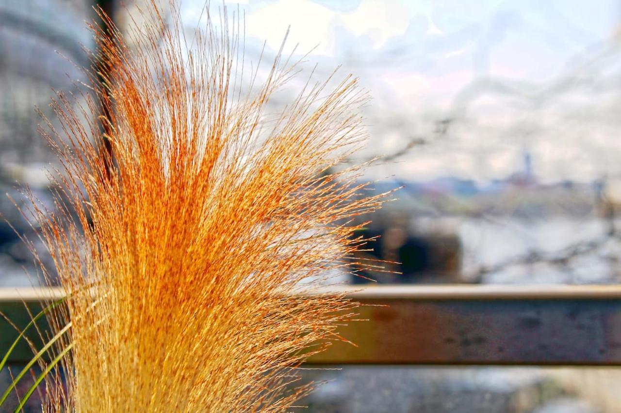 Apartment Hamburg Hafencity! ภายนอก รูปภาพ